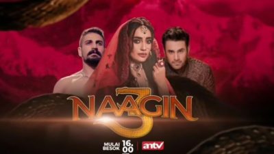 Sinopsis Naagin 3