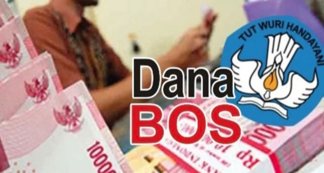 Dana BOS