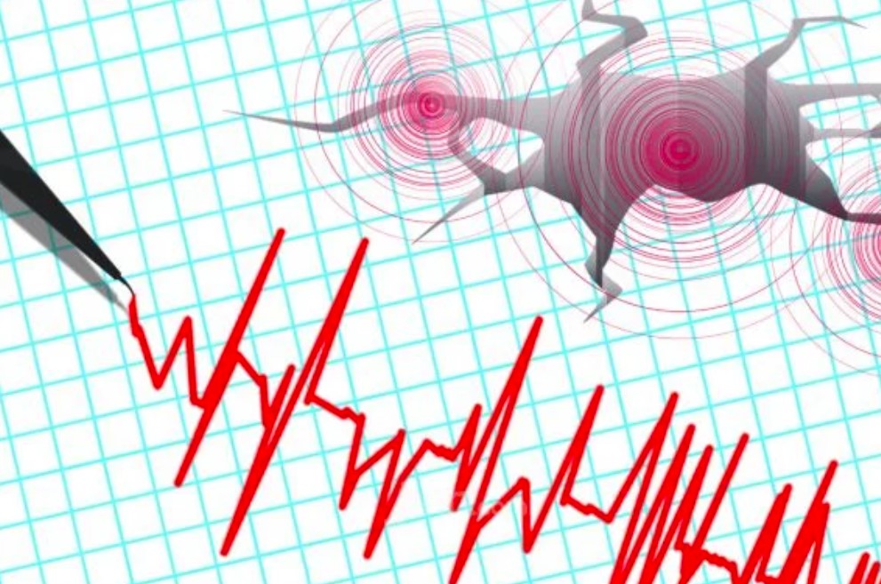 Gempa Hari Ini