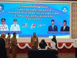 Pemprov Kepri Perpanjang Kontrak Ribuan PTK Non-ASN
