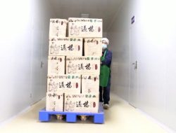 GLOBALink: Sup mie ikonis dari Yunnan China rambah pasar global