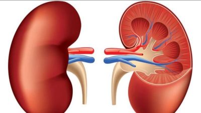 Apa yang Dimaksud Augmentasi Adalah, Pengertian, Proses, dan Hasil