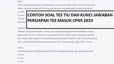 Lengkap, Latihan Tes TIU Contoh Soal dan Kunci Jawaban, Persiapan CPNS 2023