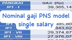 Cek Besaran Gaji PNS dengan Sistem Single Salary, Diklaim Bakal Menguntungkan ASN