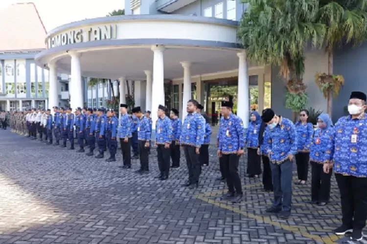 Naik Mulai Juli 2025! Ini Detail Tunjangan Pensiun PNS Terbaru dan Cara Cek Besarannya