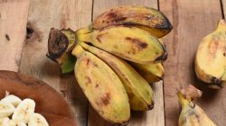 Mengenal Pisang Kepok: Manfaat, Rasa, dan Jenisnya