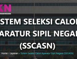 Update Terbaru Jumlah Pendaftaran CPNS dan PPPK 2023, Instansi Ini Masih Sepi