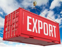 Duh BPS Rilis Data Tren Penurunan Ekspor Indonesia di Bulan Agustus 2023