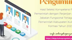 Hasil Seleksi PPPK Tenaga Teknis Pemkab Kulon Progo