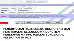 Link Pengumuman Hasil Seleksi PPPK Jabatan Fungsional Kesehatan 2023 di Lampung Selatan