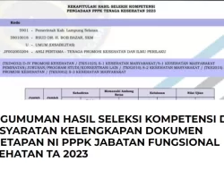 Link Pengumuman Hasil Seleksi PPPK Jabatan Fungsional Kesehatan 2023 di Lampung Selatan