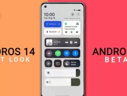 Update ColorOS 14 x Android 14, Cek Daftar HP Oppo Yang Kebagian Pembaharuan