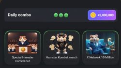WAJIB COBA! Rahasia Kartu Daily Combo Hamster Kombat Hari Ini, 27 Juli 2024: Dapat 5 Juta Koin GRATIS!