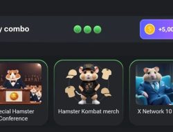 WAJIB COBA! Rahasia Kartu Daily Combo Hamster Kombat Hari Ini, 27 Juli 2024: Dapat 5 Juta Koin GRATIS!