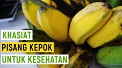 Manfaat Pisang Kepok untuk Kesehatan: Lebih dari Sekedar Camilan