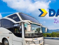 Hari Perhubungan Nasional 2024: DAMRI Kasih Promo Tiket Beli 3 Gratis 1 untuk Perjalanan ke Bandara
