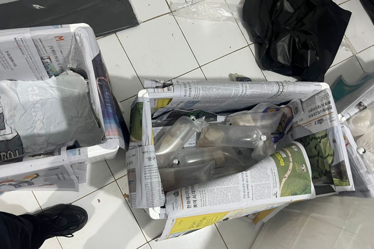Gagalkan Penyelundupan 149.400 Benih Lobster: Aksi Heroik Polda Lampung