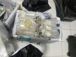 Gagalkan Penyelundupan 149.400 Benih Lobster: Keberhasilan Polda Lampung dalam Memerangi Kejahatan Perikanan