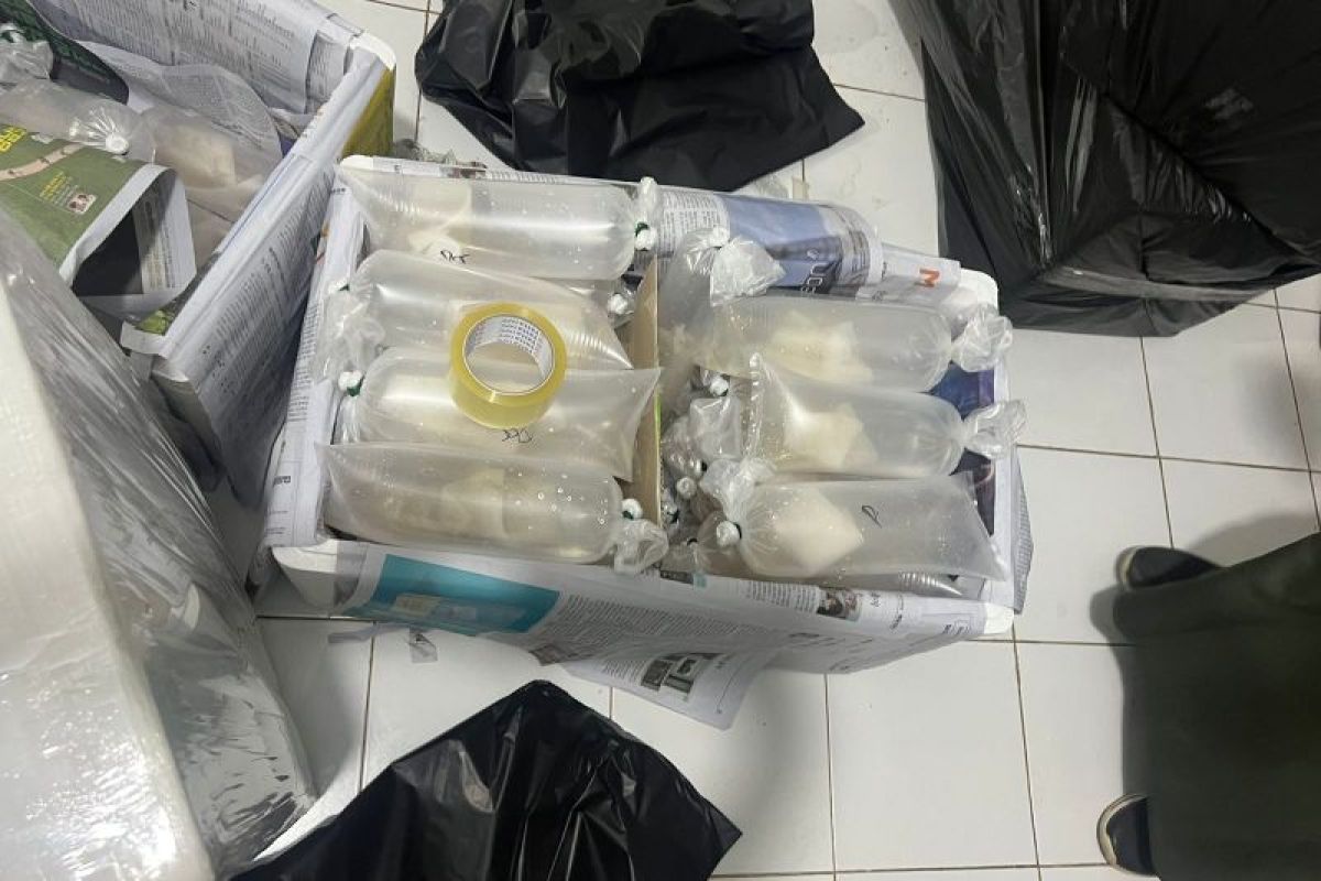 Gagalkan Penyelundupan 149.400 Benih Lobster: Keberhasilan Polda Lampung dalam Memerangi Kejahatan Perikanan