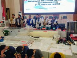Polda Lampung Ungkap Kejahatan Selundupan Bayi Lobster: KKP Memberikan Apresiasi