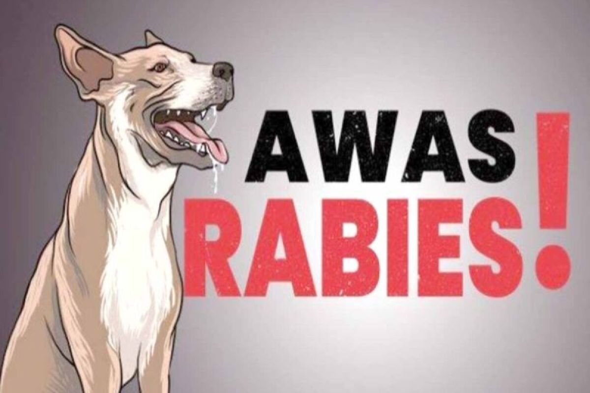 52 Kasus GHPR Ditangani oleh Dinkes Pesisir Barat: Kisah Penanganan Kesehatan Januari-September