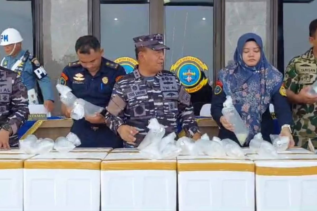Razia Sukses Lanal Lampung Tangkap Ribuan Lobster Ilegal