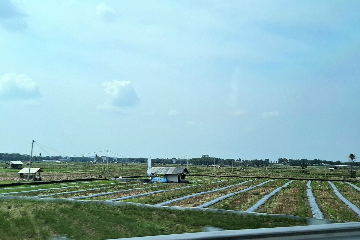 Pertumbuhan Ekonomi Lampung Melonjak 4,81% di Triwulan III 2024