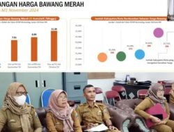 Melonjaknya Harga Komoditas Pangan: Bawang Merah Jadi Penyebab Utama Inflasi