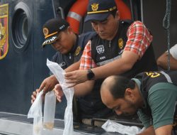 Razia Sukses! 60.883 Ekor BBL Ilegal Dihentikan oleh KPPBC Bandarlampung