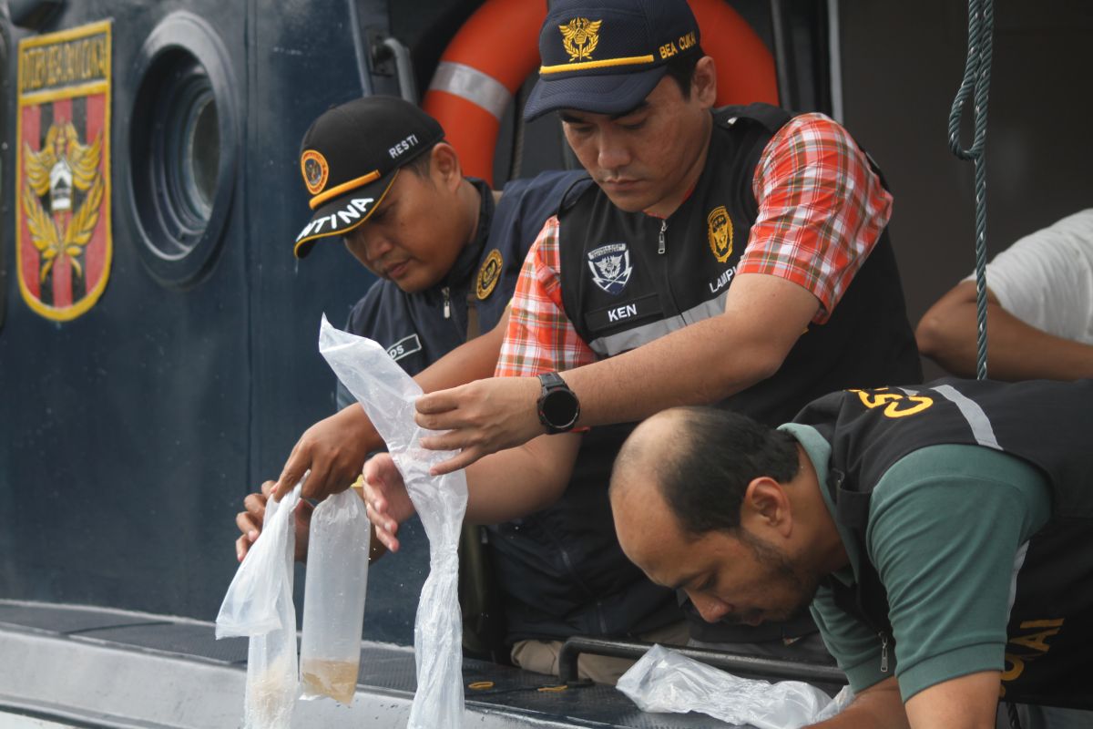 Razia Sukses! 60.883 Ekor BBL Ilegal Dihentikan oleh KPPBC Bandarlampung Razia Sukses! 60.883 Ekor BBL Ilegal Dihentikan oleh KPPBC Bandarlampung