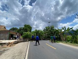 Petugas Evakuasi Pohon Tumbang: Mengatasi Rintangan di Jalan Lintas Sumatera