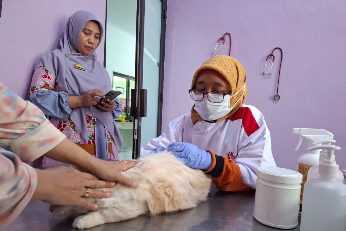Vaksinasi Rabies: 1.580 Hewan Peliharaan di Lampung Terlindungi oleh UPTD Kesehatan Hewan