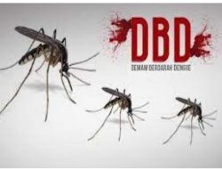 Peringatan DBD di Musim Hujan: Tanggamus Siap Beraksi!