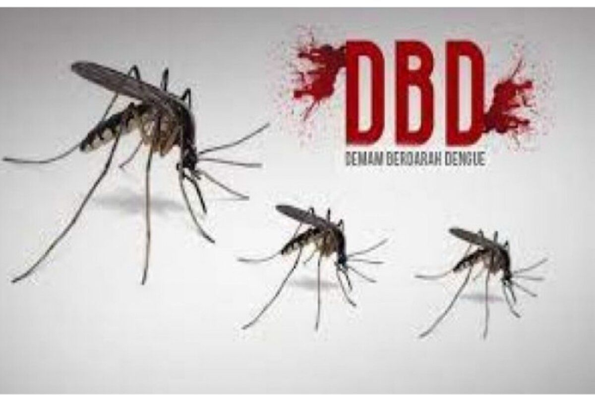 Peringatan DBD di Musim Hujan: Tanggamus Siap Beraksi!