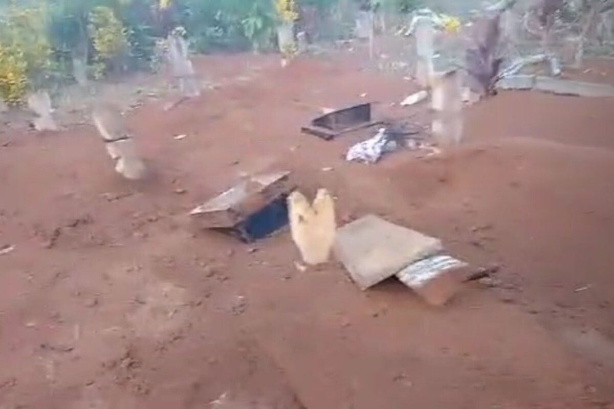 Gajah liar merusak pemakaman umum di Suoh Lampung Barat: Bagaimana solusinya?