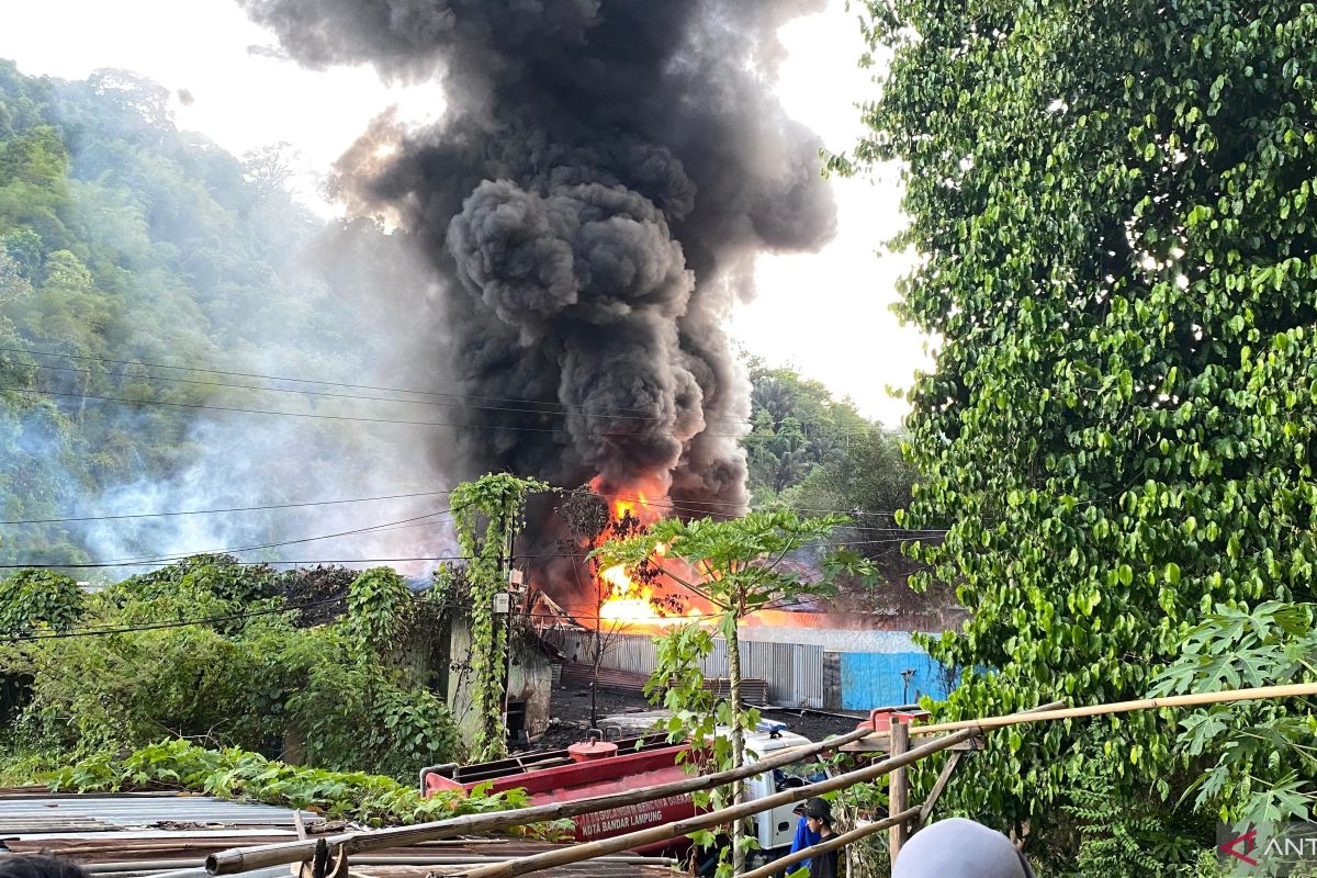 Operasi Penyelamatan: 13 Unit Damkar Beraksi Selamatkan Gudang BBM di Teluk Betung Timur