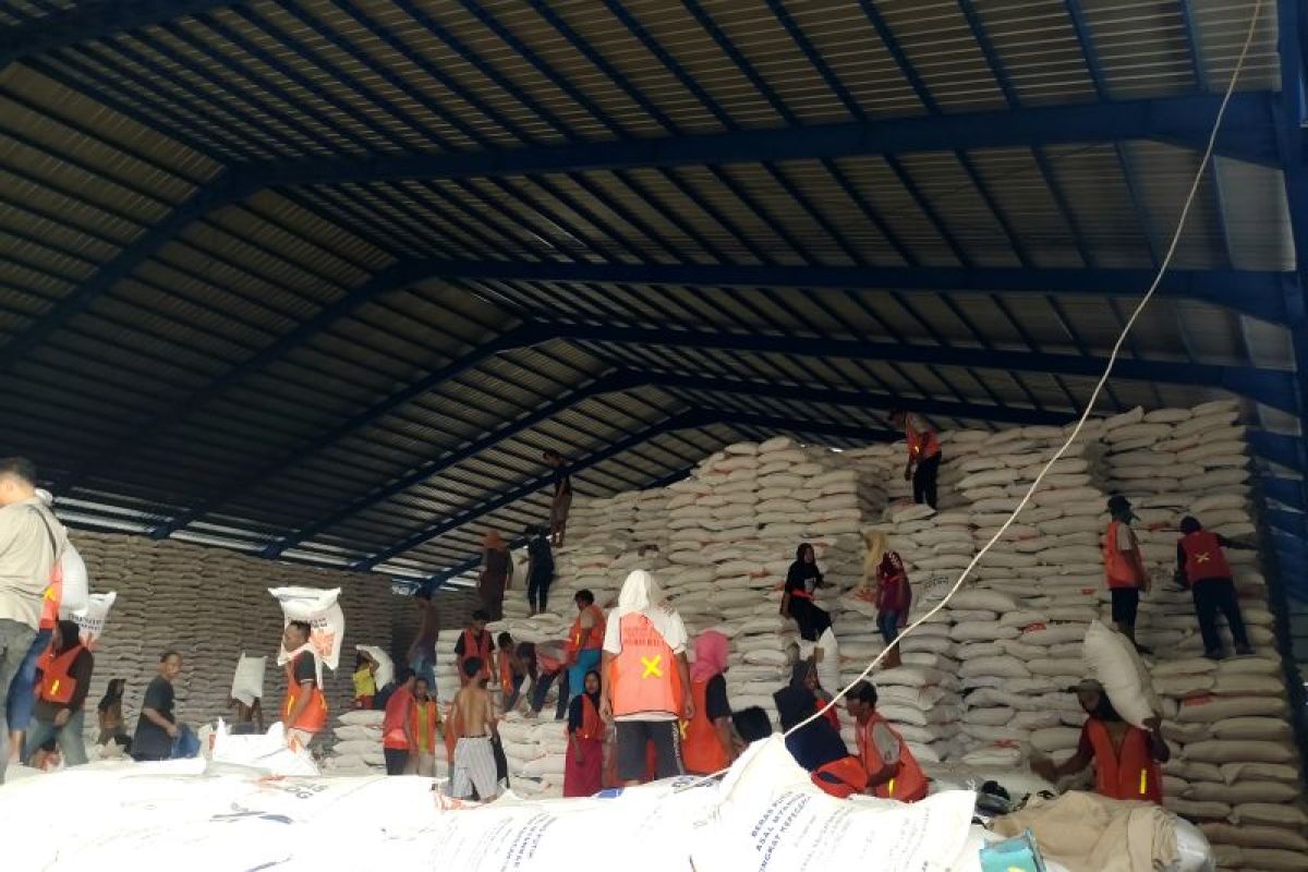 Stok Beras Melimpah di Bulog Lampung: Tersedia 73 Ribu Ton!