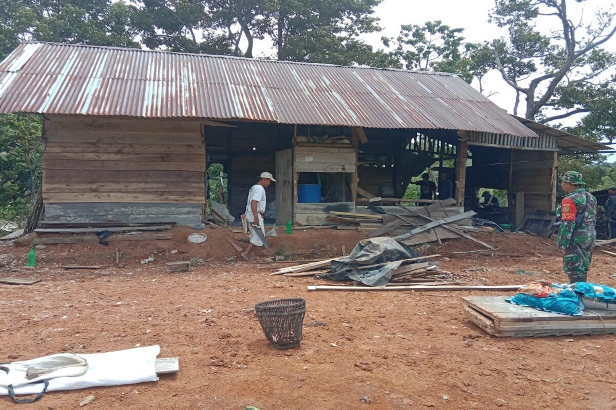 Gajah liar merusak rumah: Warga Lampung Barat gelisah
