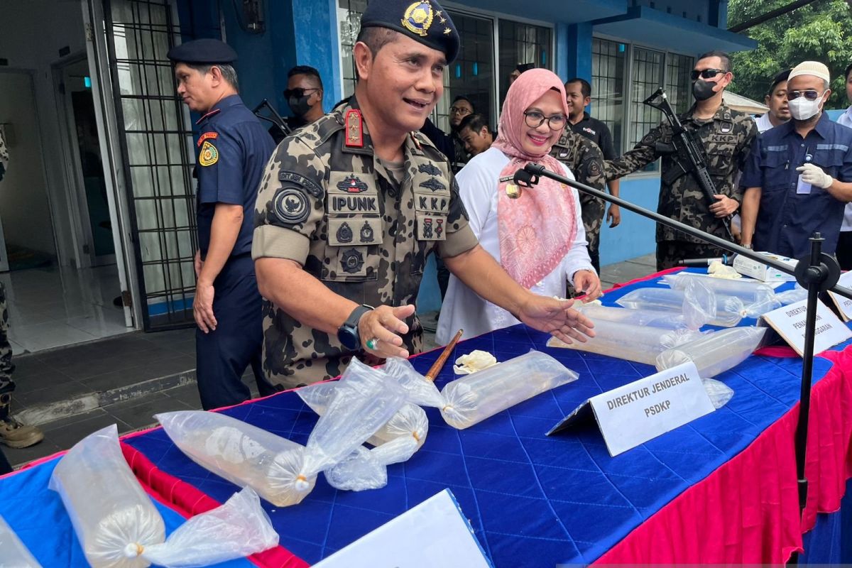 Razia KKP Gagalkan Sindikat Penyelundup BBL di Lampung
