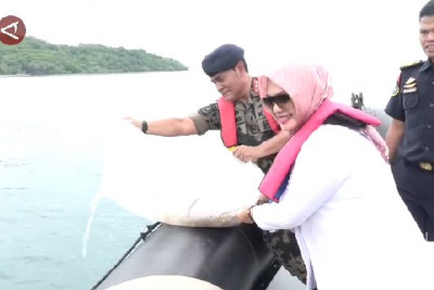KKP Membebaskan 52 Ribu Benih Lobster di Lampung: Mendukung Konservasi Laut