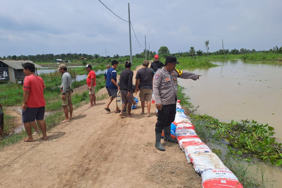 Kreativitas Polisi dan Warga: Tanggul Jebol di Lamsel Diselamatkan dengan Karung Berisi Tanah