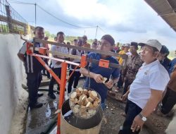 DPD RI Mendorong Digitalisasi Alat Ukur Kadar Pati dan Timbangan Ubi Kayu: Mengapa Penting?