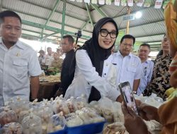 Tips Wagub untuk Memantau Harga Pangan yang Terjangkau