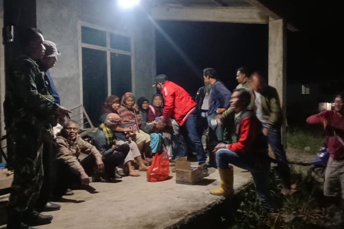Mengintip Ancaman Harimau Sumatera di Lampung Barat: Apa yang Perlu Anda Ketahui?