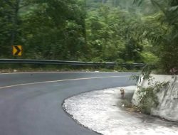 Usul Dishub Lampung: Tambah Pemberhentian Darurat di Ruas Rawan Kecelakaan – Peningkatan Keselamatan Jalan