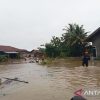 Dua Desa di Jatiagung Lampung Selatan Terendam Banjir Akibat Curah Hujan Tinggi