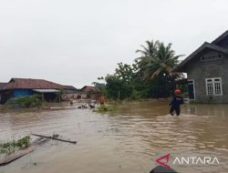 Dua Desa di Jatiagung Lampung Selatan Terendam Banjir Akibat Curah Hujan Tinggi