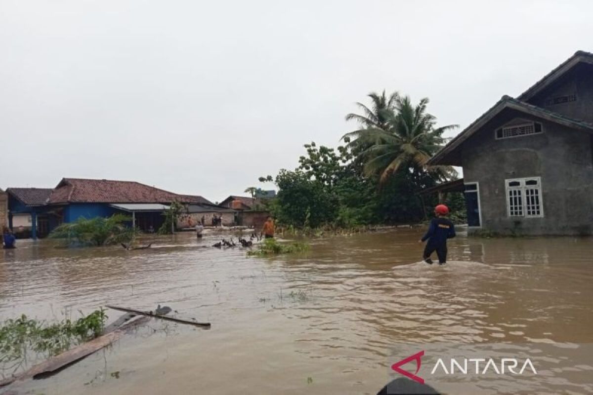 Dua Desa di Jatiagung Lampung Selatan Terendam Banjir Akibat Curah Hujan Tinggi