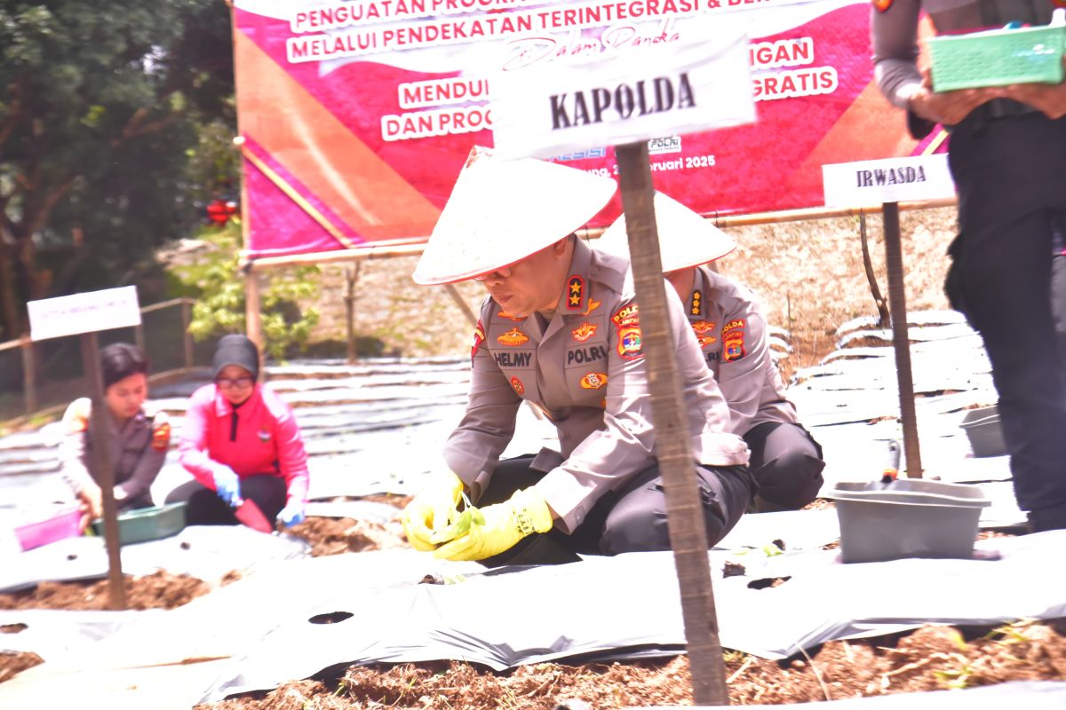 Pekarangan Pangan Lestari: Solusi Polda Lampung untuk Kemandirian Pangan