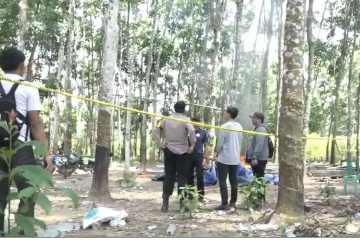 Kasus Sabung Ayam di Lampung Diserahkan ke Denpom: Apa yang Terjadi Selanjutnya?